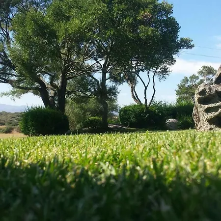 Majore Olbia