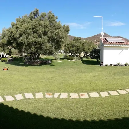 Majore 3* Όλμπια