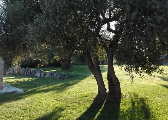 Bed and Breakfast Majore 3*