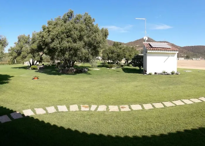 Majore 3* Όλμπια