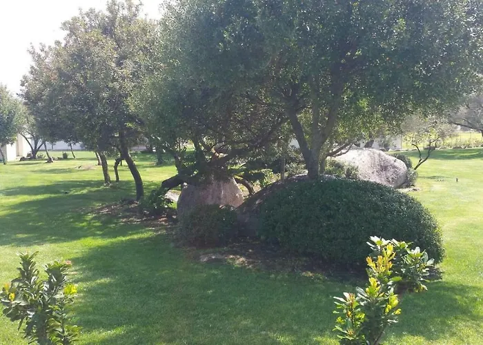 Majore Bed and Breakfast Όλμπια