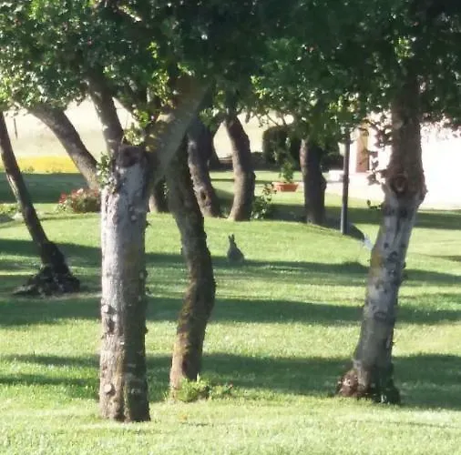 Bed and Breakfast Majore 3*