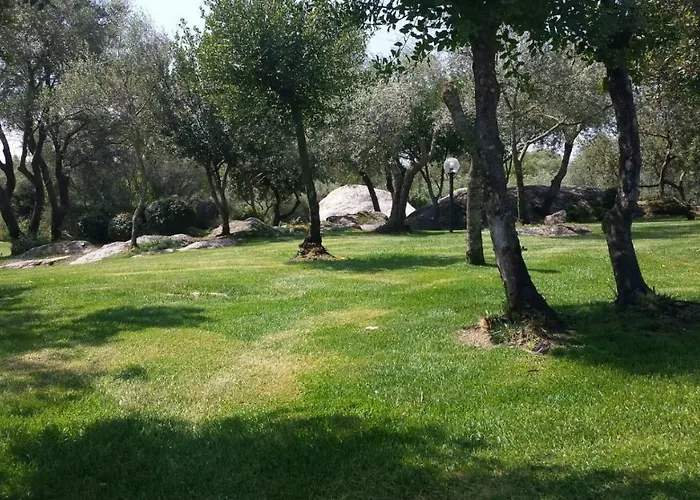 Bed and Breakfast Majore 3*