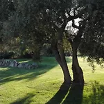 Bed and Breakfast Majore 3*