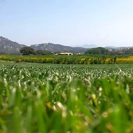 Majore 3* Olbia
