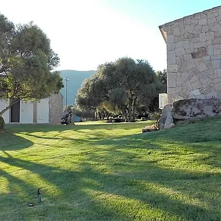 Majore אולביה