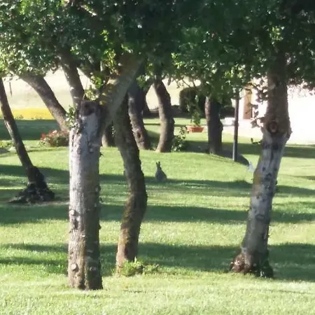 Bed & Breakfast Majore 3*