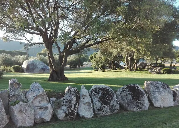 Majore 住宿加早餐酒店 奧爾比亞