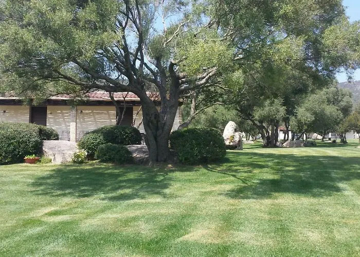 Majore 3* 奧爾比亞